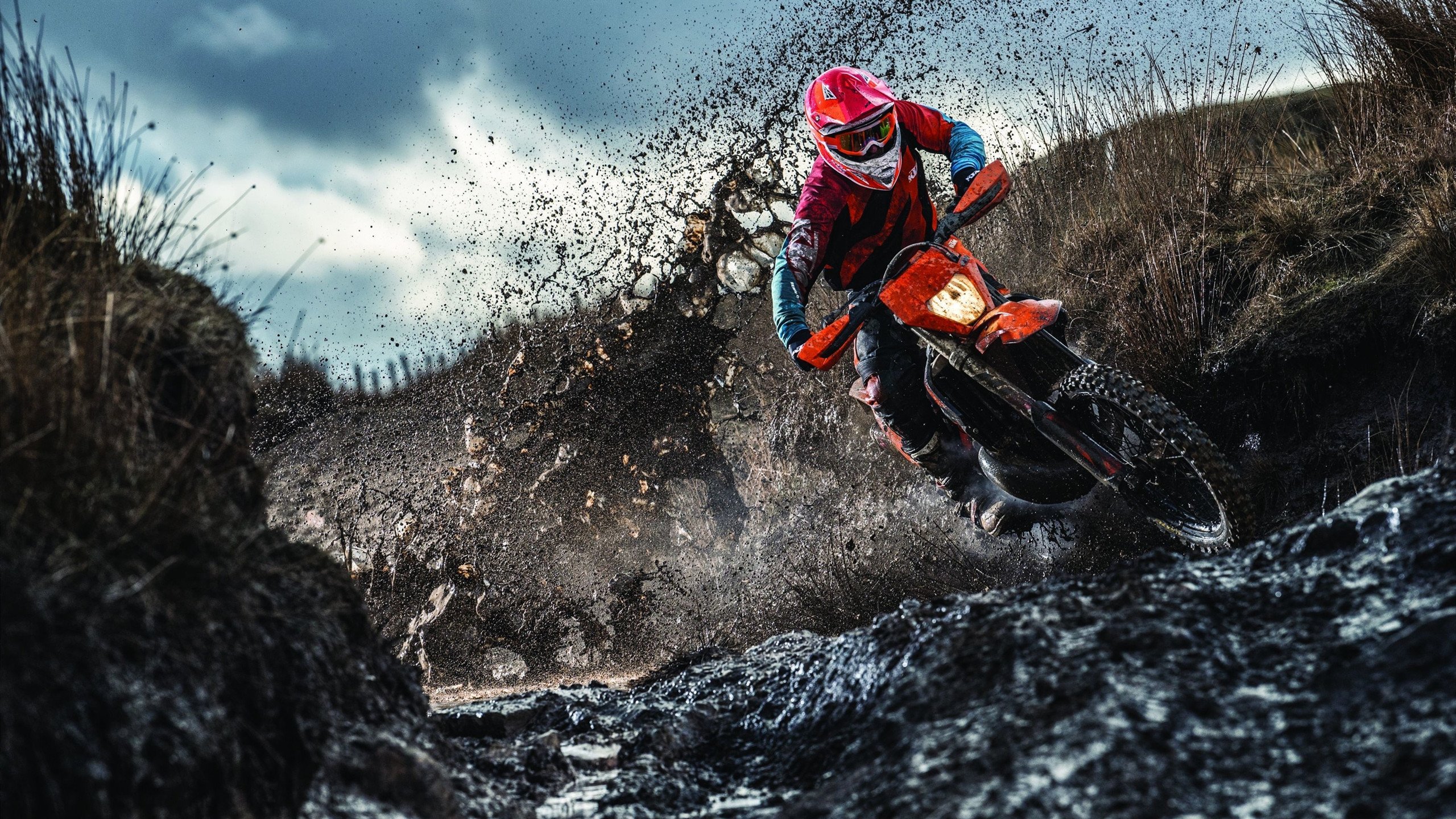 哥伦比亚队前锋苏亚雷斯在巴黎奥运会上表现出色，苏亚雷斯加盟巴塞罗那