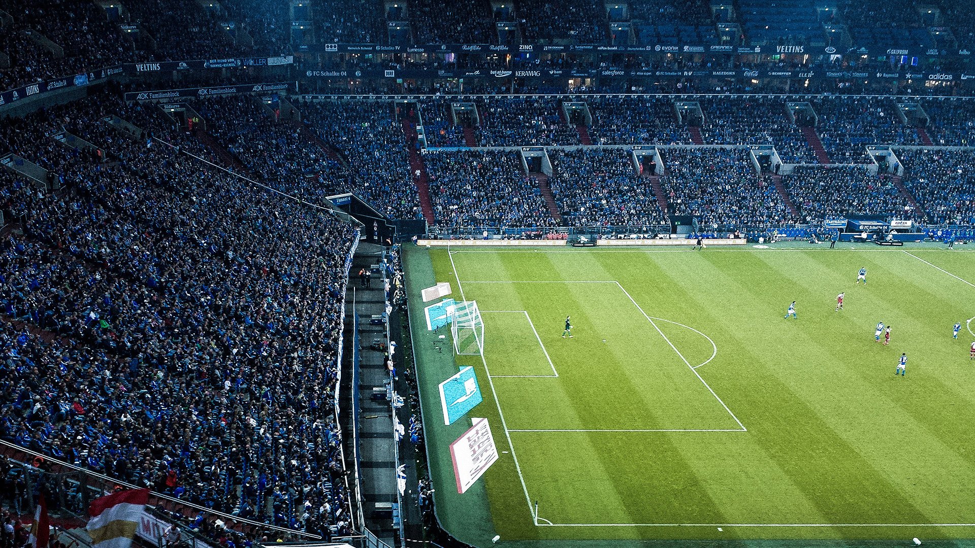 悉尼国王主场观众热情高涨，悉尼国王vs墨尔本